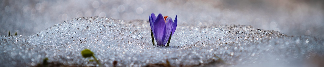 hope-despair-unsplash