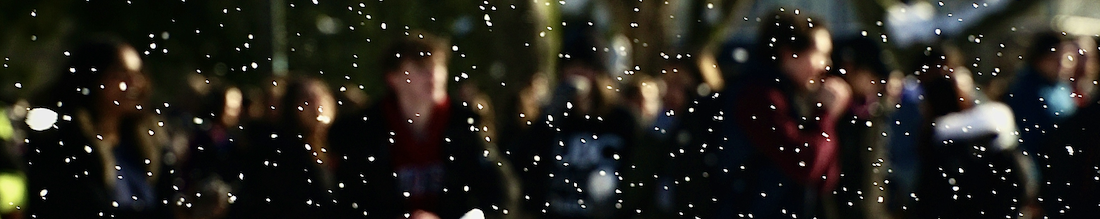 Screenshot 2026-01-28 at 9.29.32 AM