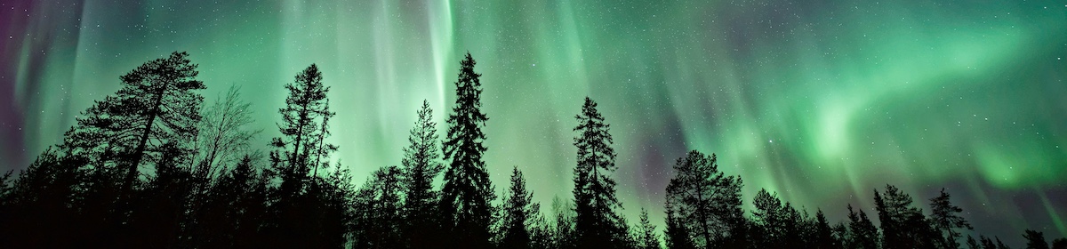 vincent-guth-62V7ntlKgL8-unsplash